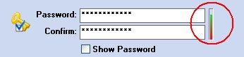 Screen of PenProtect where you should enter the Password. With the bar you have a password-level of your Flash Drive, Pen Drive or Flash Memory.