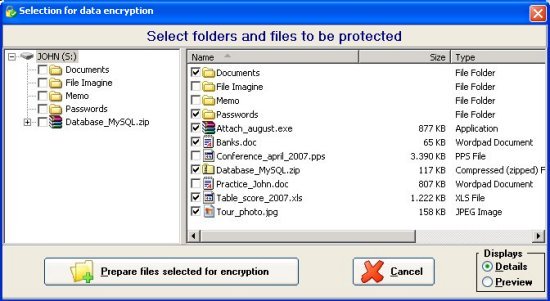 PenProtect screen where you can select the files that are in your Flash Drive, Pen Drive or Flash Memory