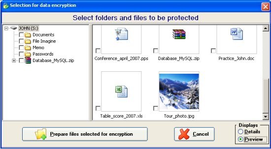 Screen with the Preview option enabled to see images of the files in your Flash Drive, Pen Drive or Flash Memory